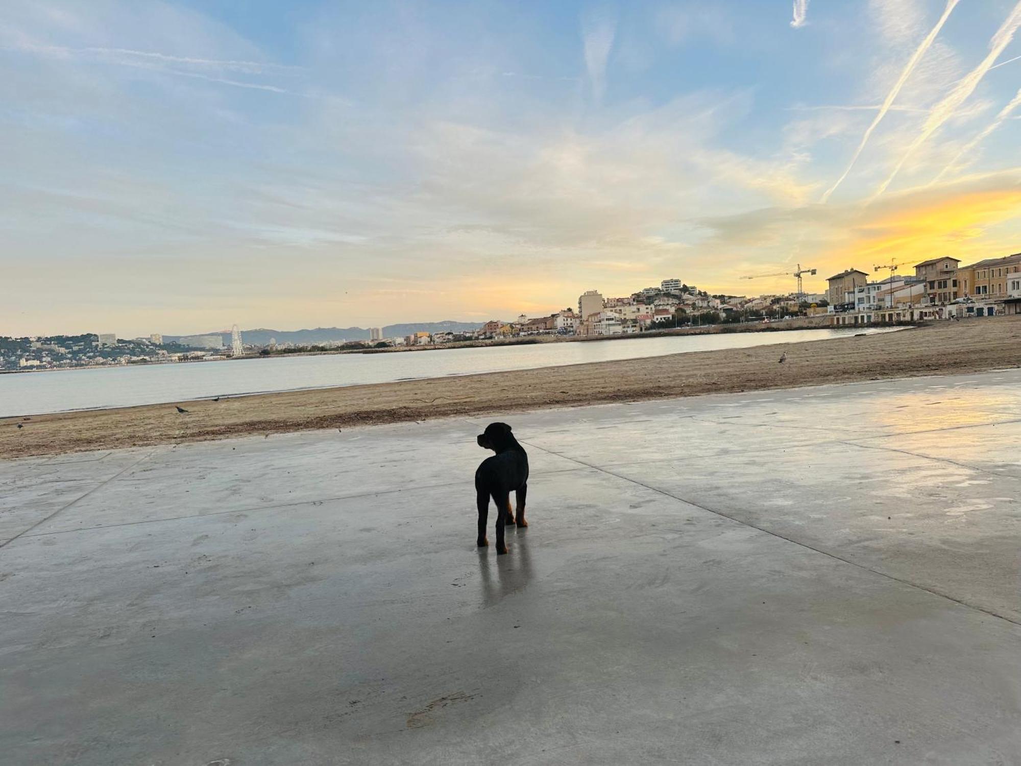 Apartmán L’enraguer Marseille Exteriér fotografie